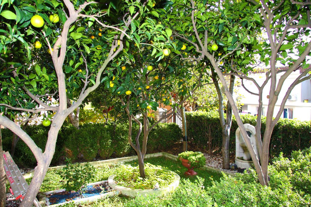 Mm Kovacevic Apartments Petrovac 外观 照片