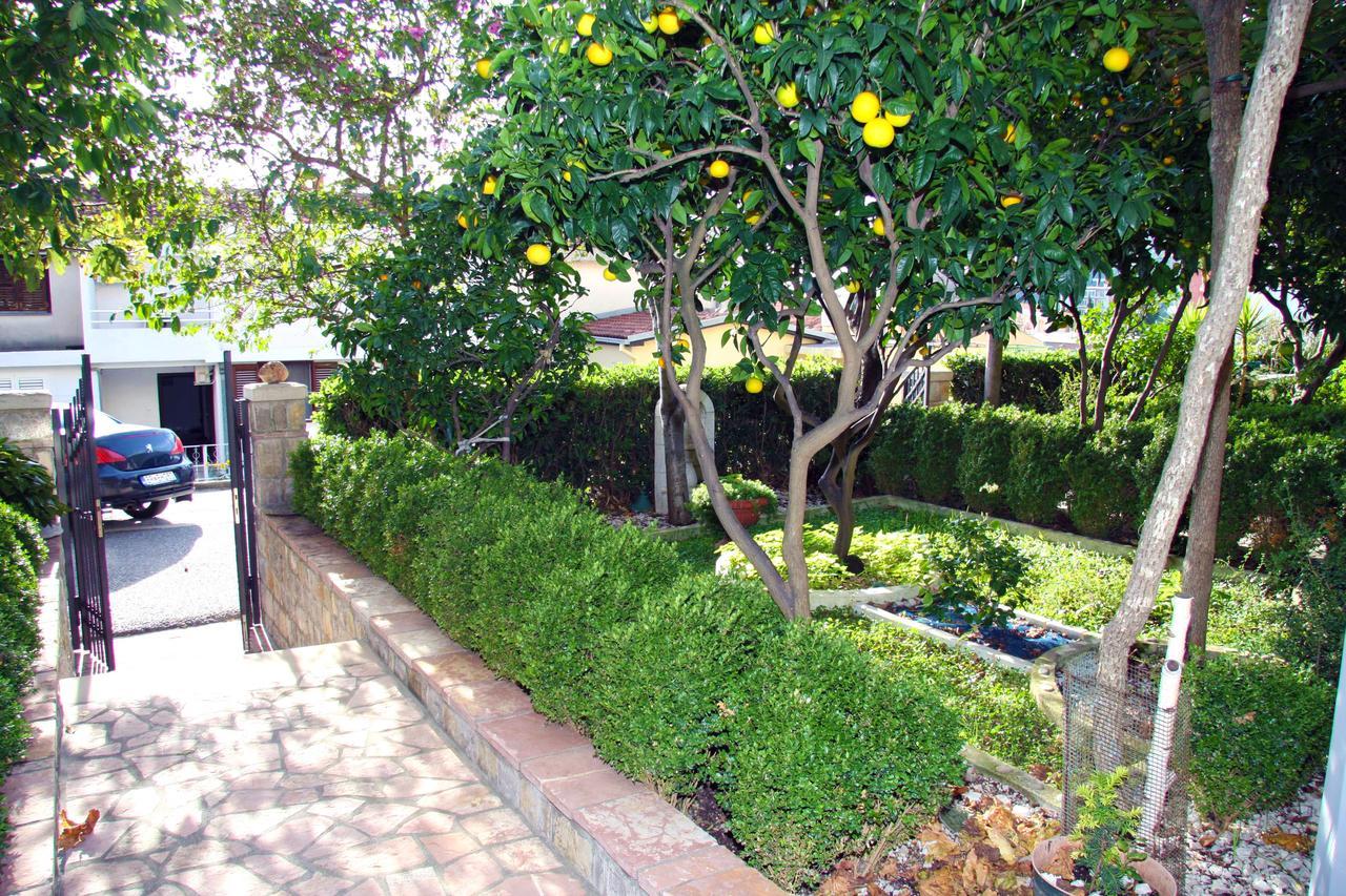 Mm Kovacevic Apartments Petrovac 外观 照片